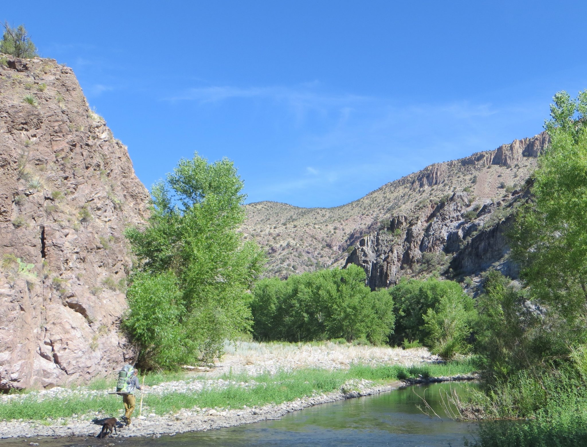 Protect Gila Wilderness - New Mexico Wilderness Alliance