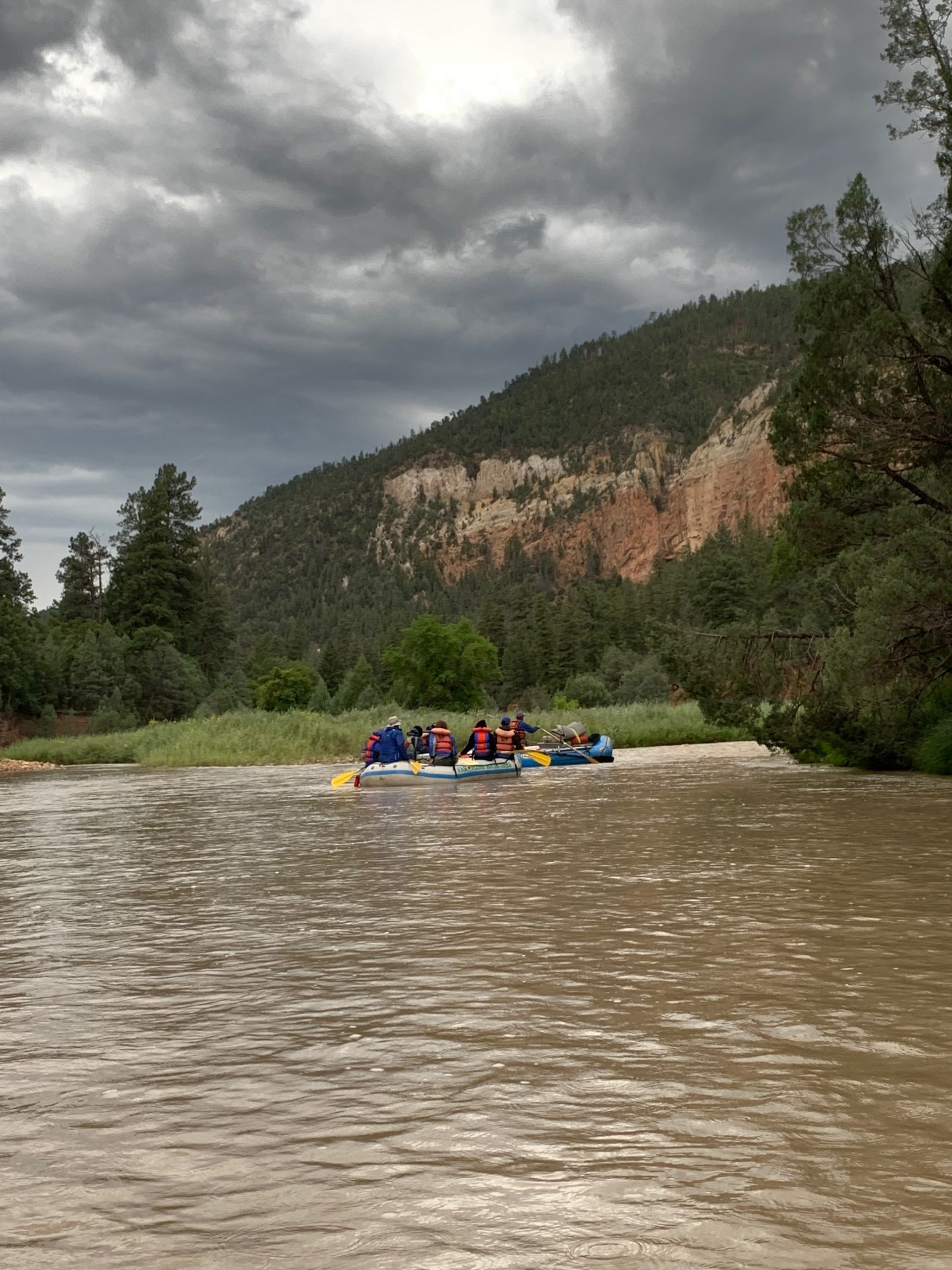 Tracking River Health: Citizen Scientists Support Study of Aquatic Insects in the Wild and Scenic Rio Chama