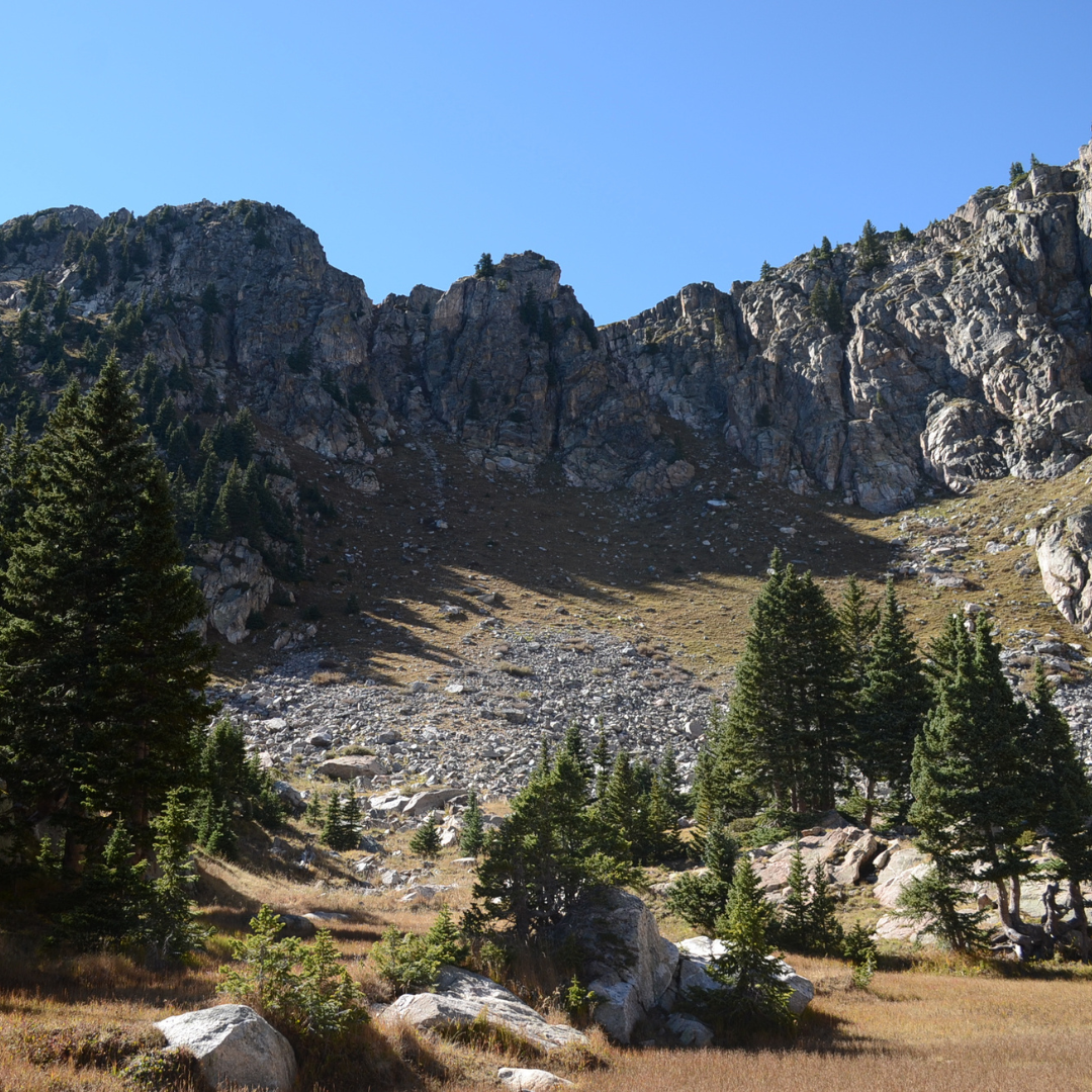 *FULL* Trail Clearing and Sign Installation in the Pecos Wilderness