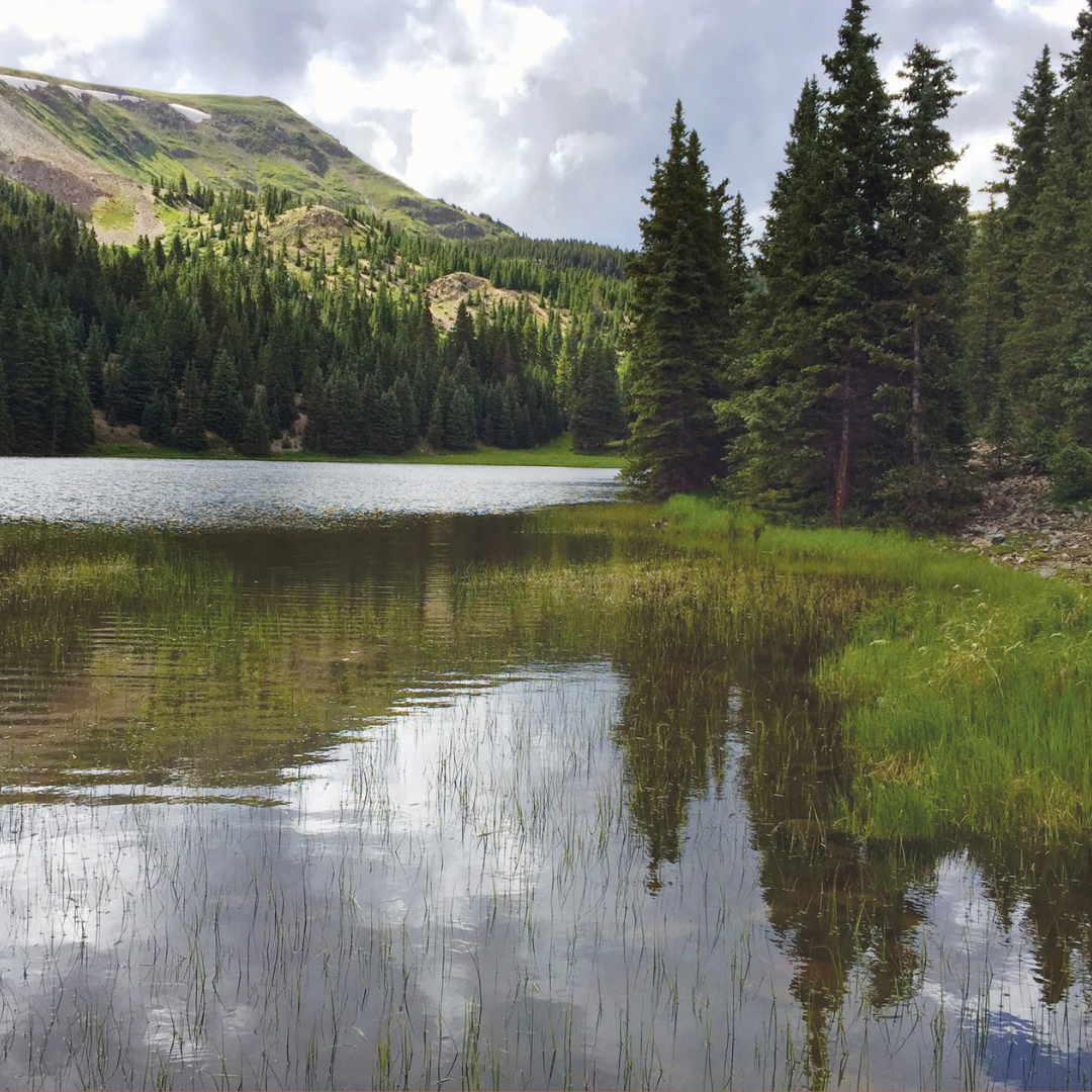 3 day, 2 night Trail Clearing and Campsite Rehabilitation in the Latir Peak Wilderness