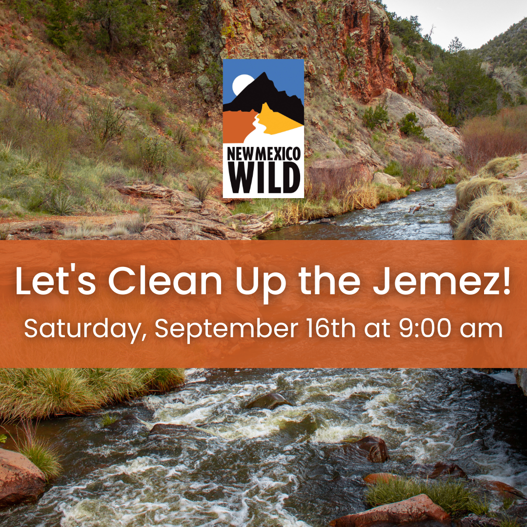 *FULL* Jemez Trash Cleanup