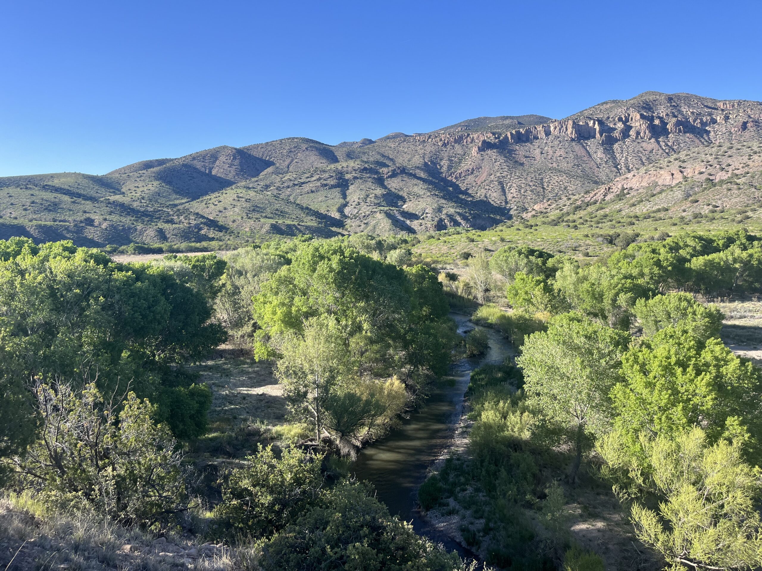 Gila Centennial: Hike With The Old Growth Forest Network