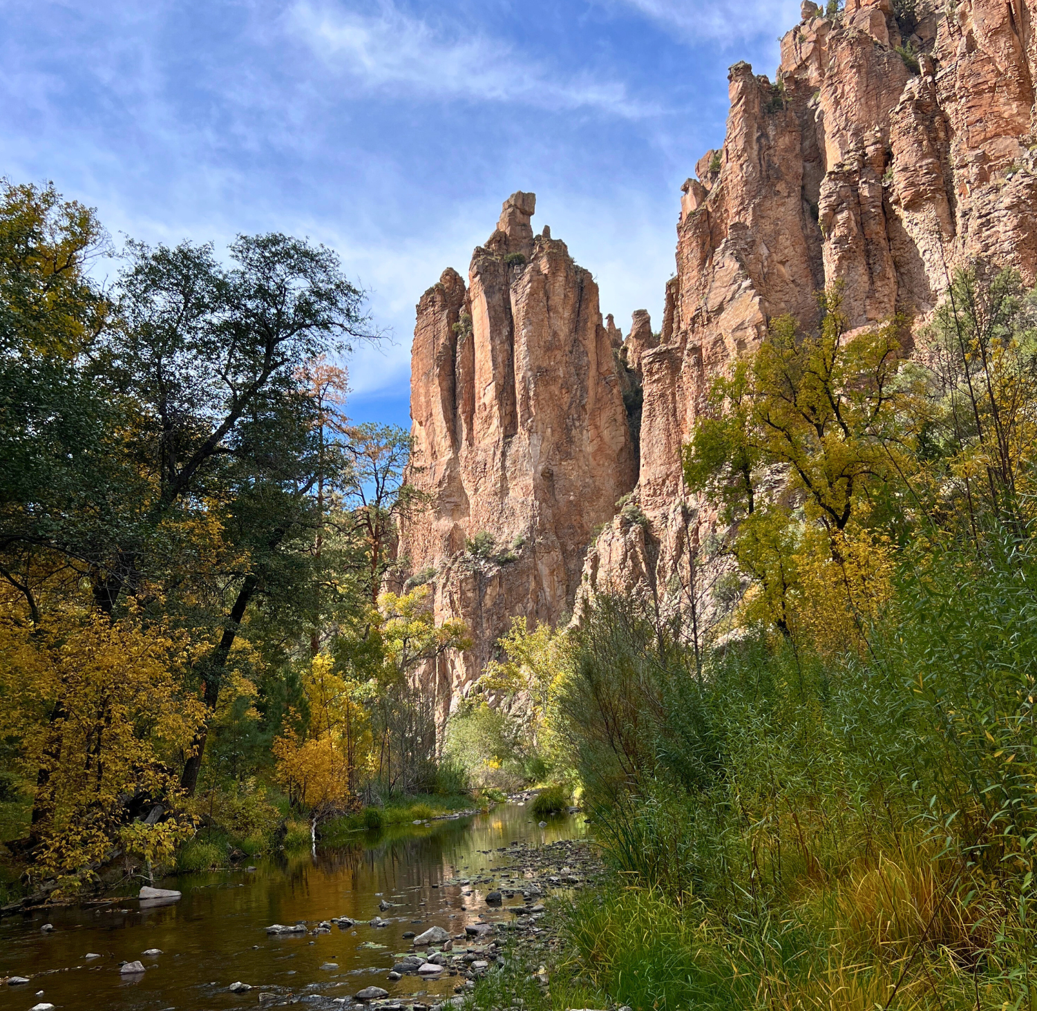 Gila Middle Fork Campsite Rehabilitation (3-day, 2-night backpacking)