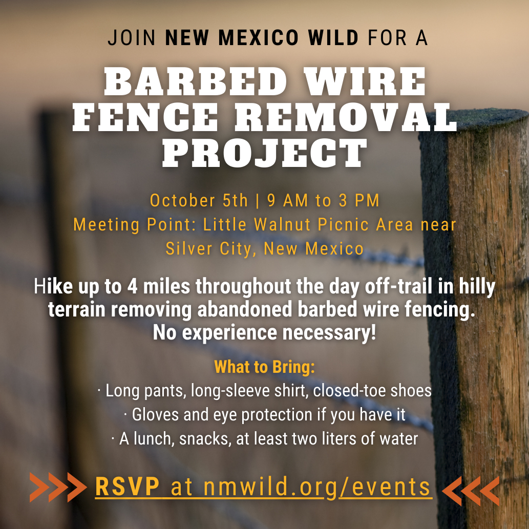 *Registration Closed* Barbed Wire Fence Removal Day Project near Silver City