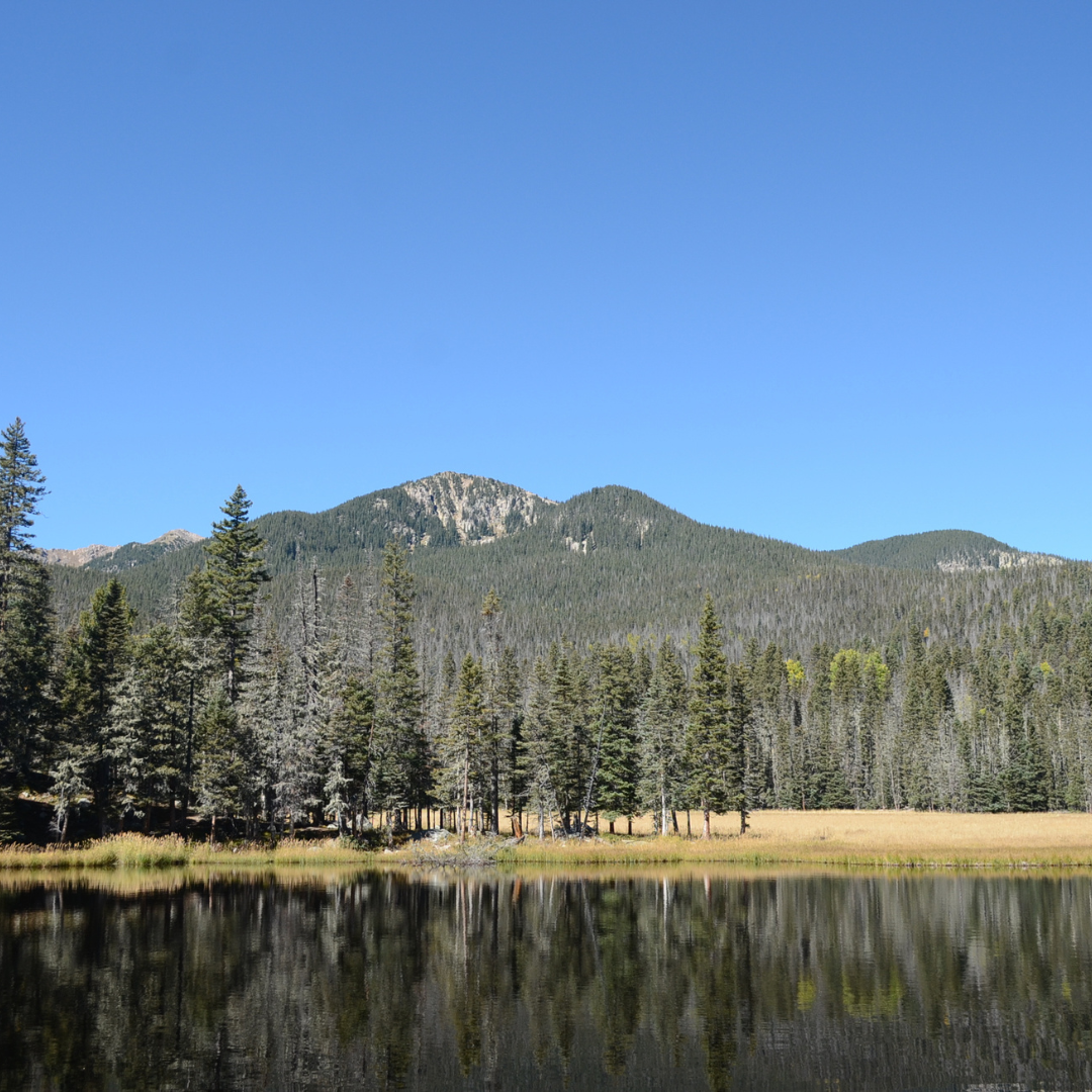 Trail Work in the Pecos Wilderness (backpacking – high intensity)