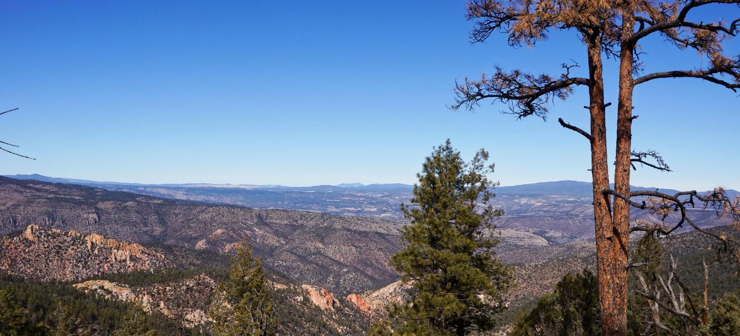 Press Statement: New Mexico Wild Statement on Interior Department Order to Review National Monuments