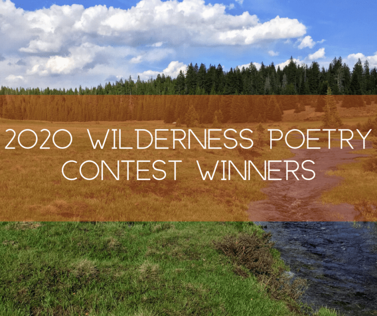 2020 Wilderness Poetry Contest Winners: The Summons by Tamara Saimons