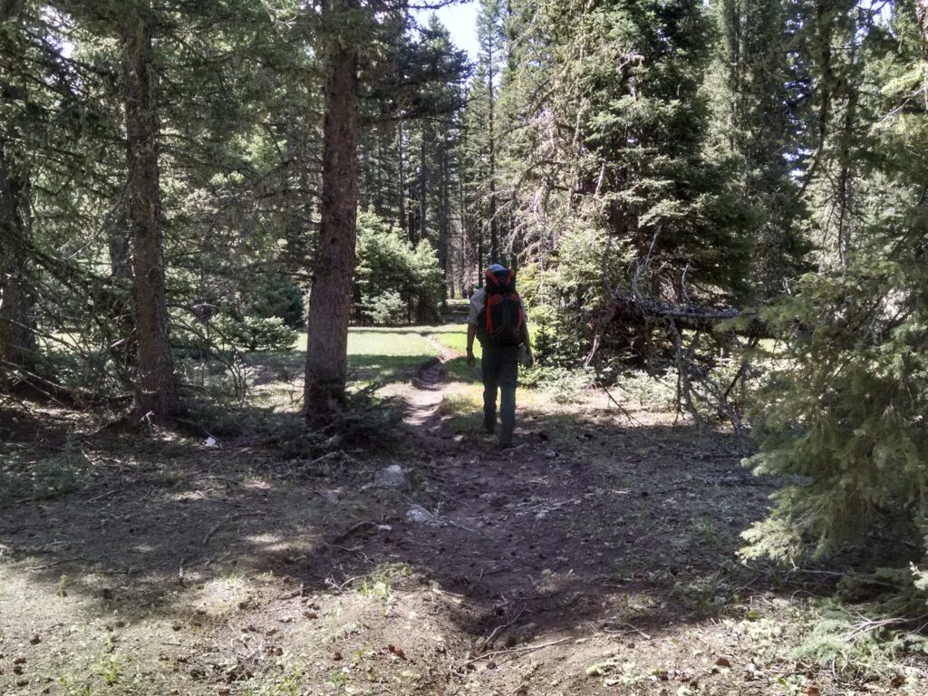 New fire restrictions are in place for three New Mexico forests; New Mexico Wild launches online hiking guide