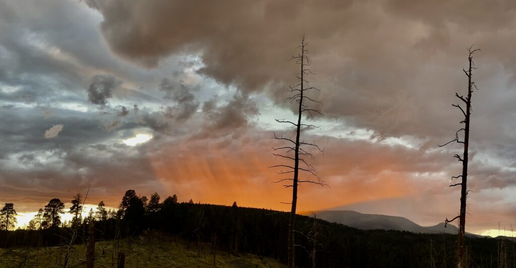 Reflections from the Valles Caldera Backcountry
