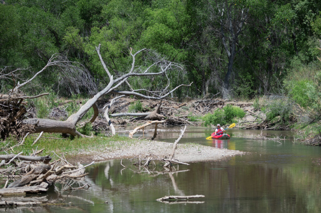 Press Release: Diverse Stakeholders Applaud New Mexico Delegation for Reintroducing Legislation to Permanently Protect Gila-Area Rivers and Streams
