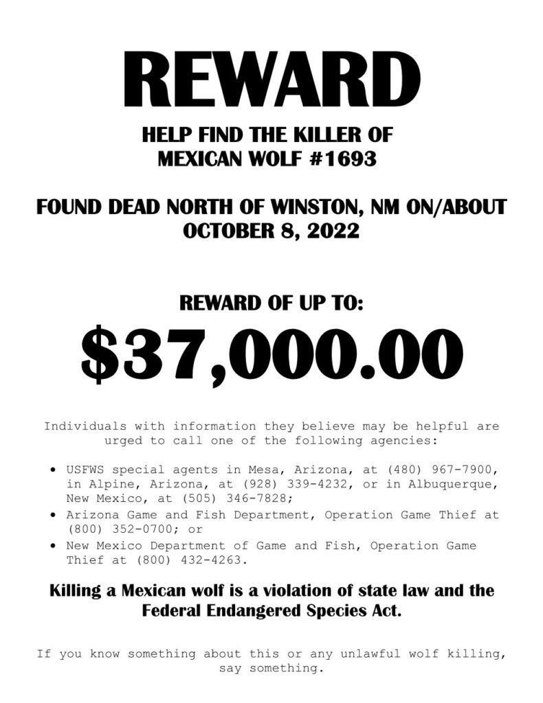 Reward Offered For Information Leading to Conviction of Killer in Mexican Gray Wolf Death