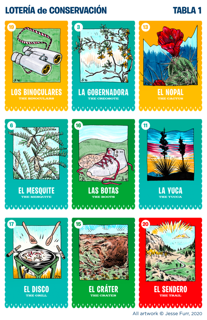 Lotería de Conservación: A Traditional Game of Chance and Conservation