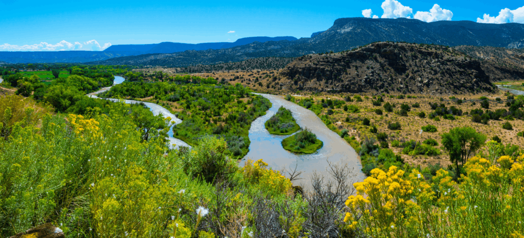 New Mexico Wild Challenges USDA’s Proposed Aerial Insecticide Spraying Over Rio Chama Watershed