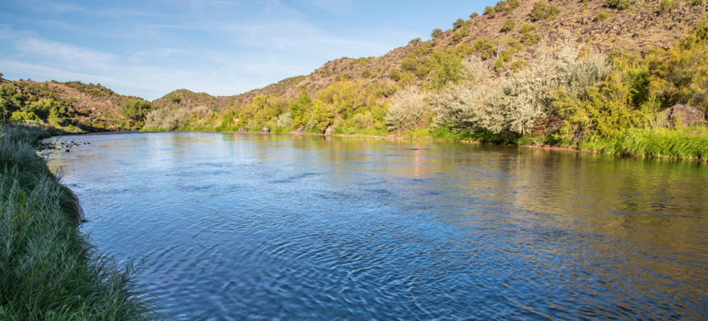New Mexico Wild Submits Comments on NMED’s Strategic Water Supply