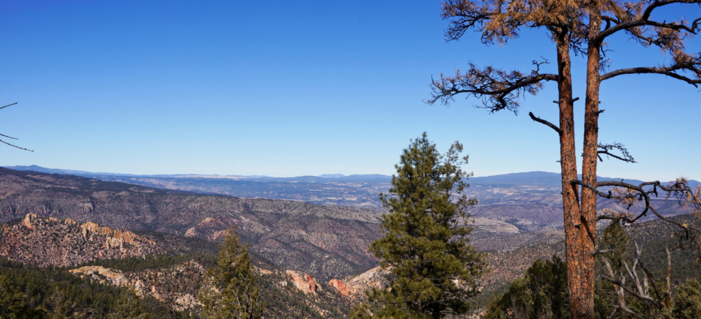 Conservation Group Comments Slam Air Force Combat Training Proposal