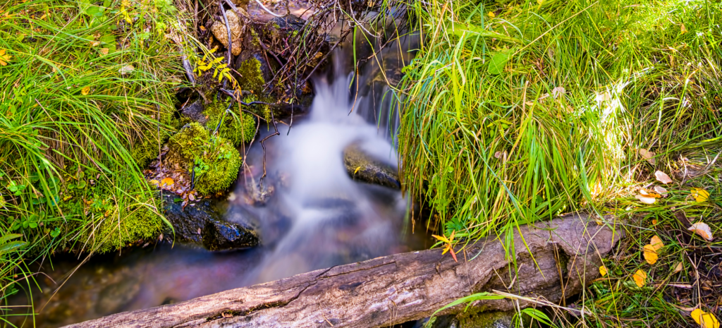 State-led permitting program needed to protect NM’s waters