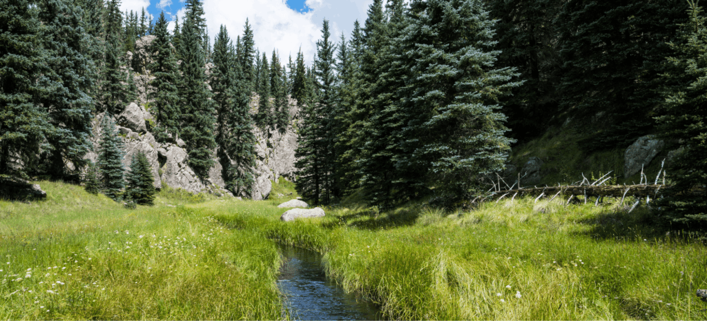 Outstanding National Resource Waters: New Mexico Wild Submits Comment In Support of Nomination