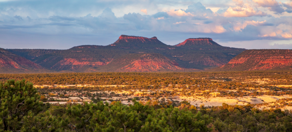 Action Alert: Bears Ears National Monument Plan Open House Meeting in Albuquerque