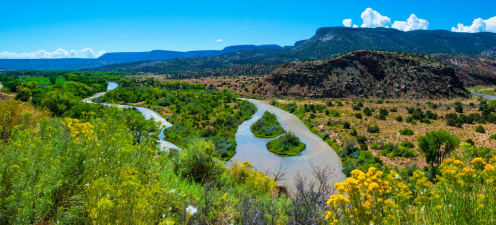 Op-Ed: Policies That Intentionally Destroy Land, Water and Wildlife Have No Place in Today’s World