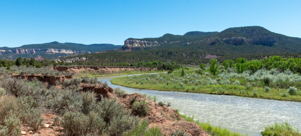 Rio Chama Pesticide Spray Canceled for the Second Year in A Row