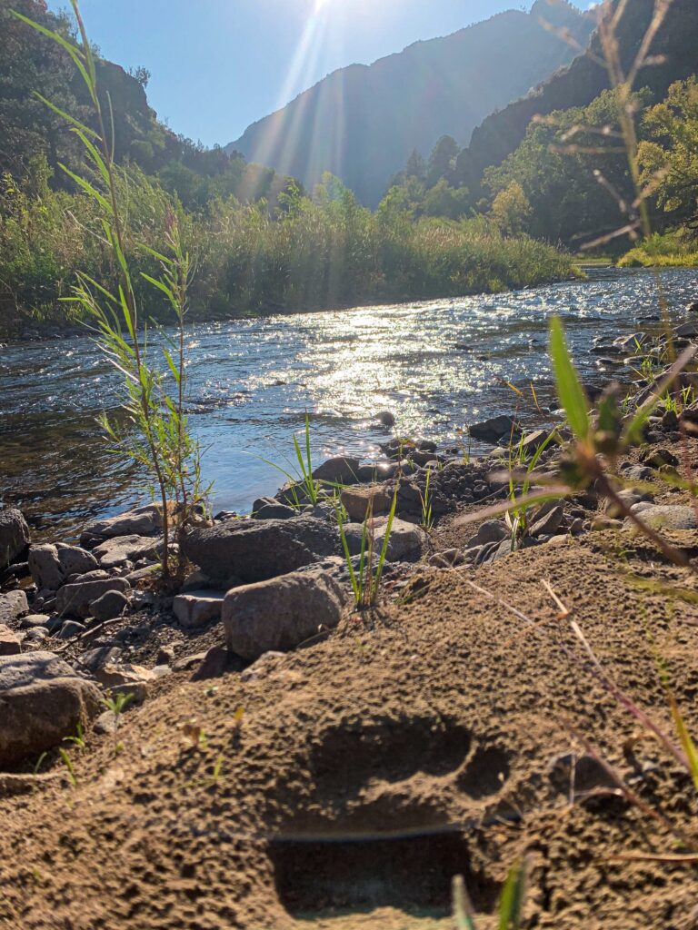 Pecos River labeled among most endangered waterways due to potential mining