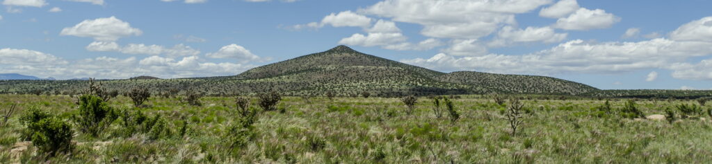 New Mexico Wild Stands with Coalition Against Caja del Rio Transmission Line