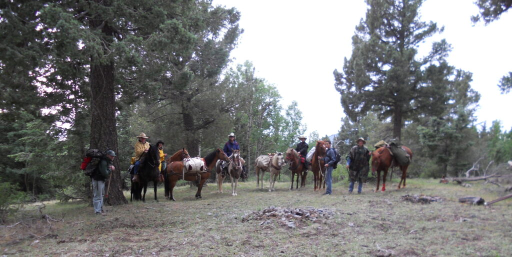 Saddle Up for Wilderness