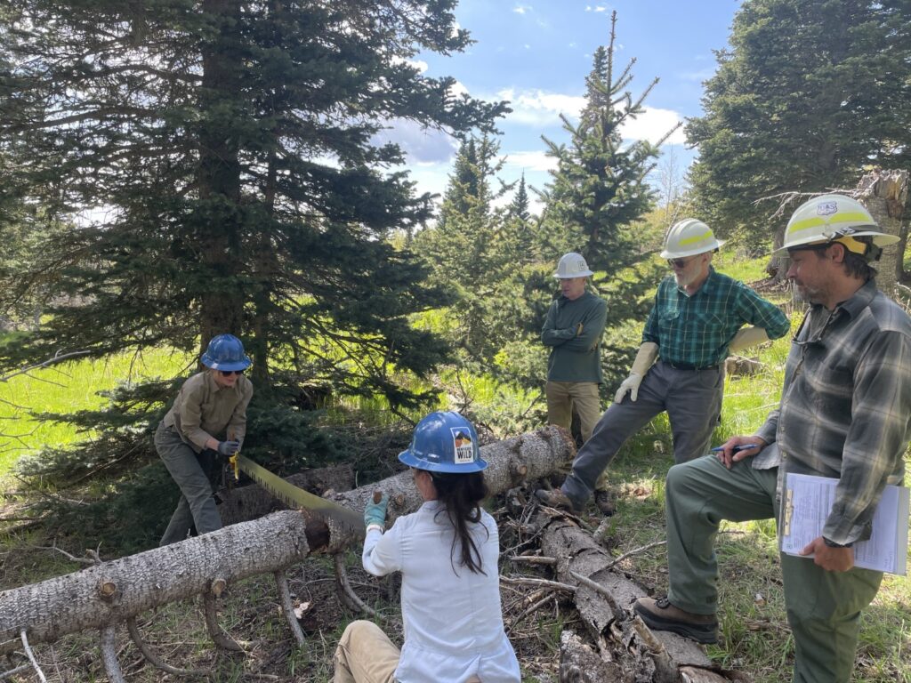 Tools of Wilderness: The Art and Necessity of Crosscut Saws