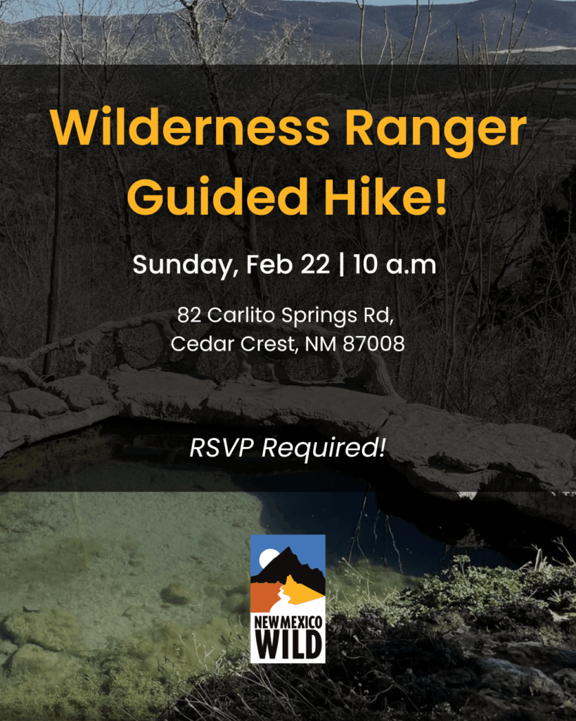 Carlito Springs Hike