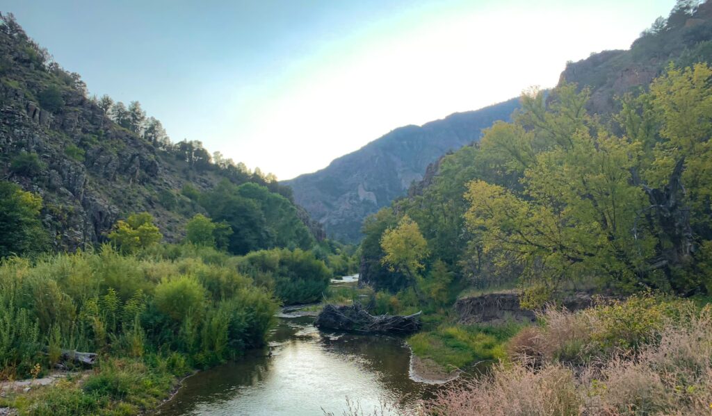 PRESS RELEASE: Legislation to Protect the Gila and San Francisco Rivers Takes Important Step Forward with Senate Hearing