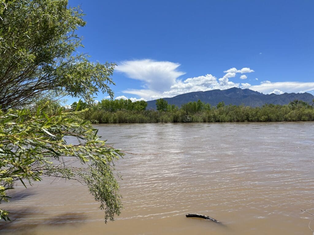 Bosque Cleanup for National River Cleanup Day