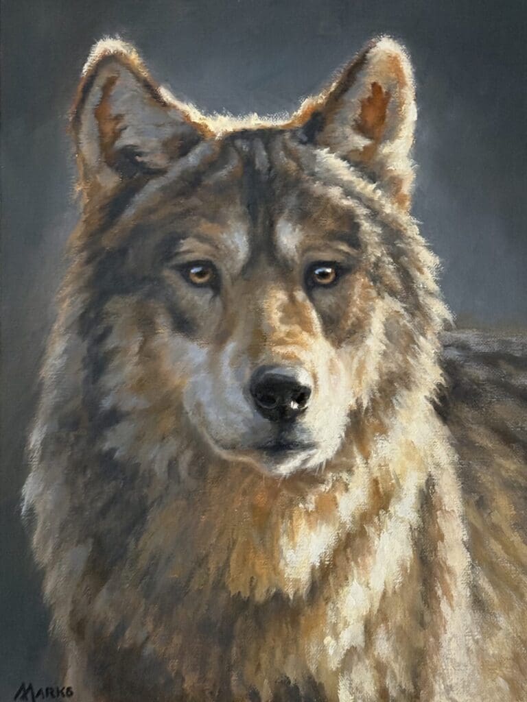 Announcing the 2026 Wolf Stamp Contest Winner!