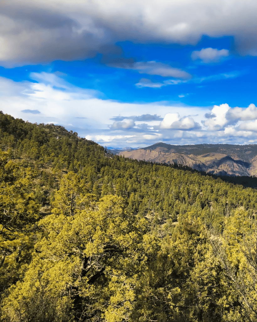 Gila Roadless Area Hike