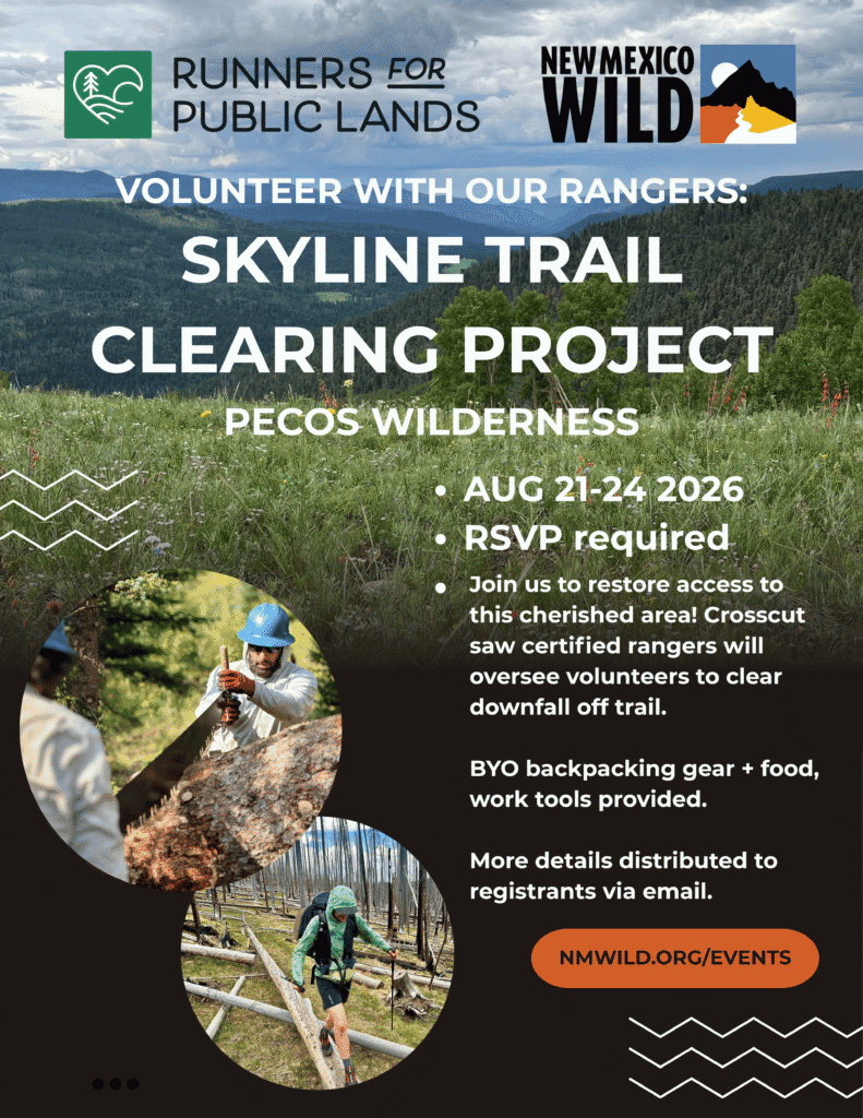 (Full) Skyline Trail Clearing Project with Runners for Public Lands
