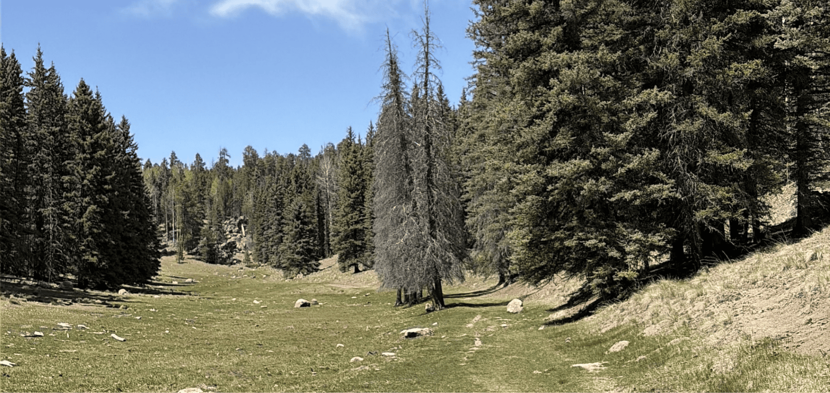 Motorized vehicle travel management on public lands