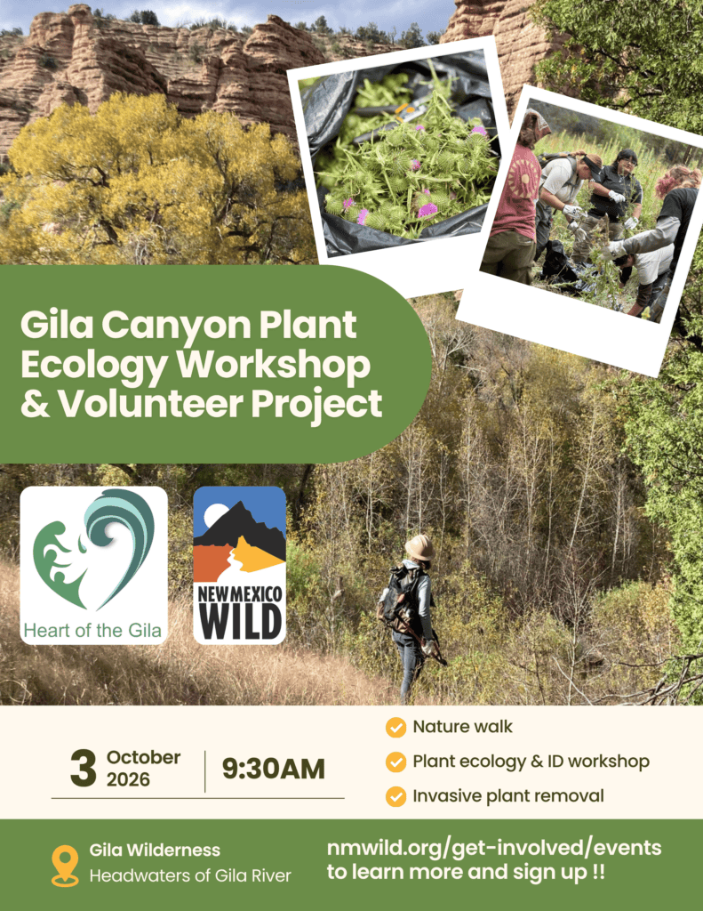 Gila Canyon Plant Ecology Workshop & Invasives Stewardship Project
